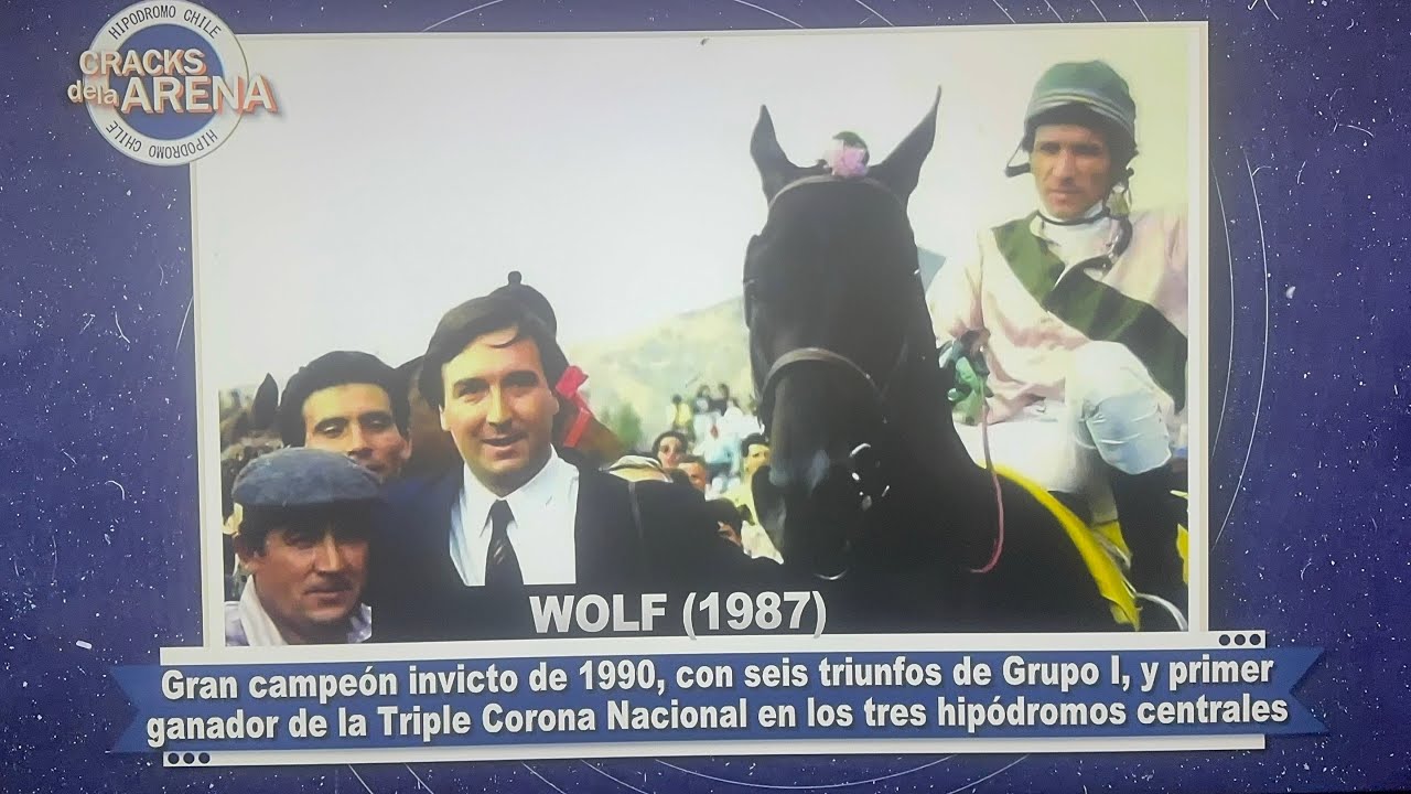 Cracks de La Arena: Wolf (1987-2002)
