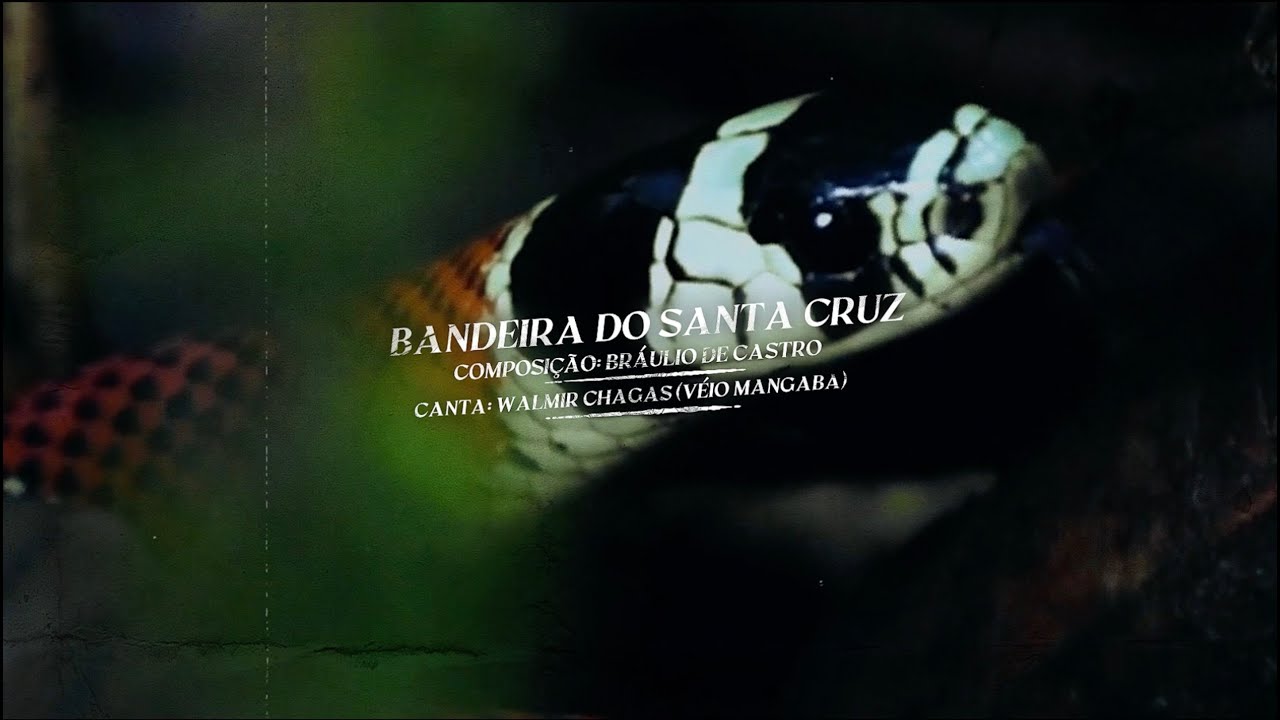 TV Coral - Hoje tem Santa! - Bandeira do Santa Cruz