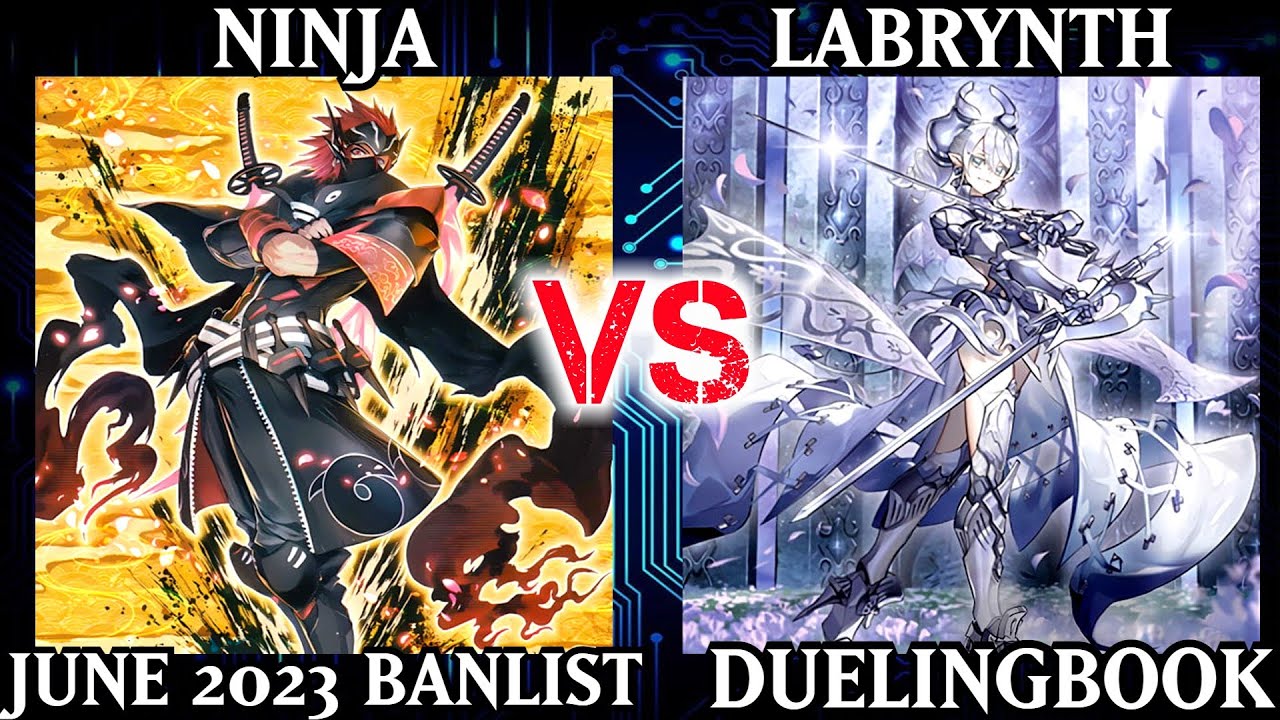 Ninja vs Labrynth | Dueling Book