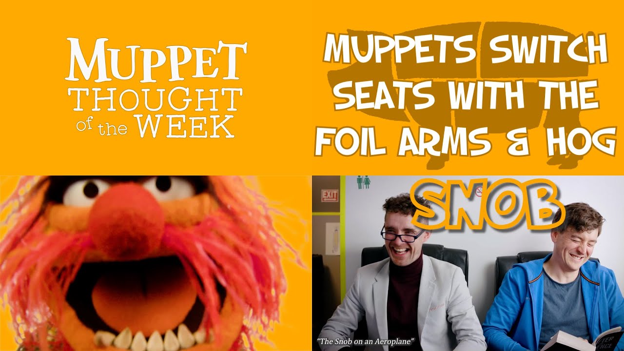 When Muppets Switch Seats with a Snob on a Plane | Foil Arms and Hog/Muppet cross-over
