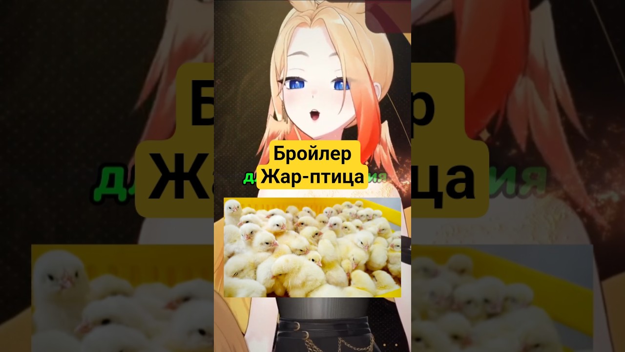Бройлер киви@ifrit_39 #vtuber #витубер #ruvtuber #рекомендации #twitch #нарезки