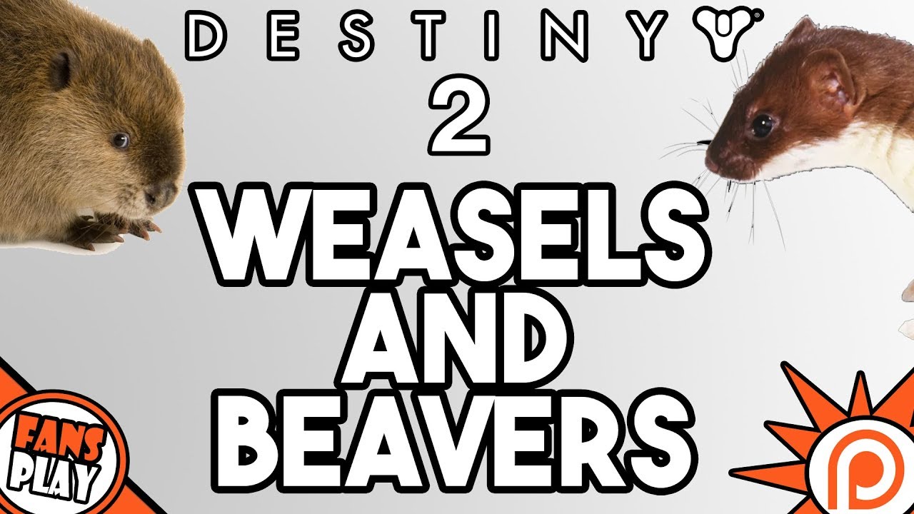 Fighting Weasels and Beavers with a Fan! | Destiny 2 Gameplay