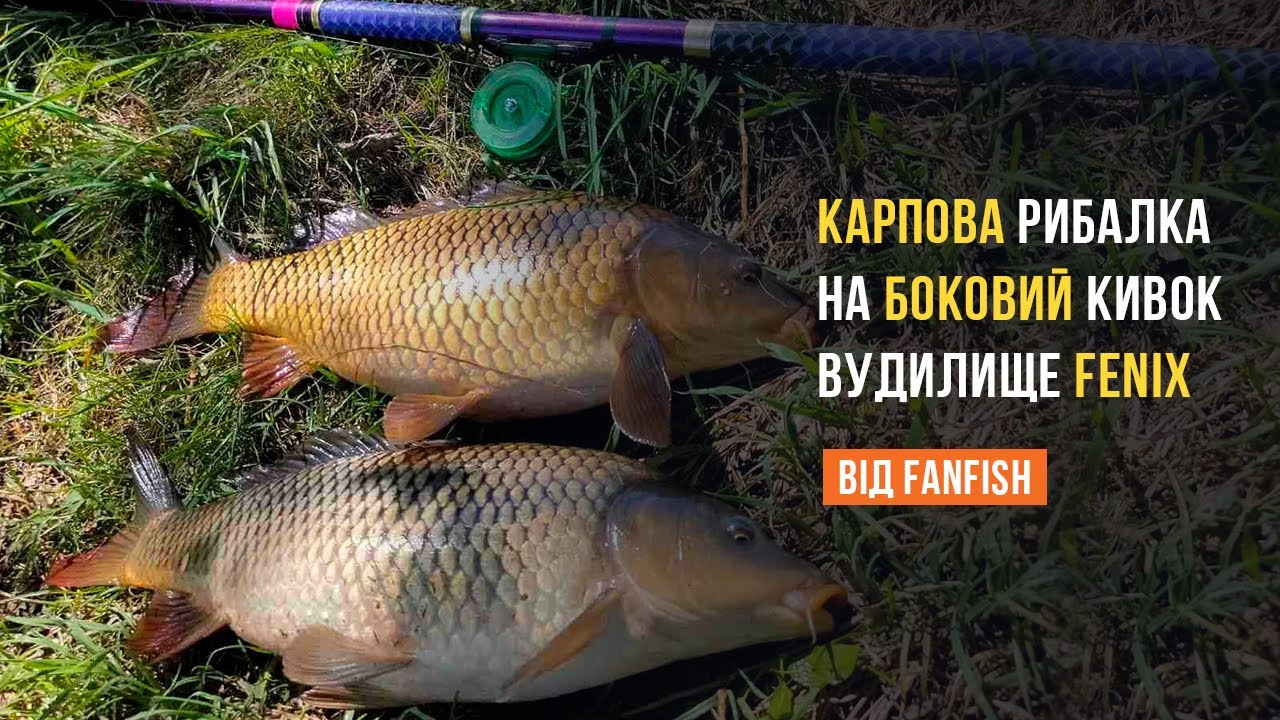 Ловля карпа на боковой кивок на дикой реке на удилище Fenix (Феникс), сезон 2022 года
