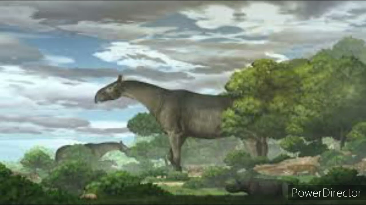 Paraceratherium Sound Effect