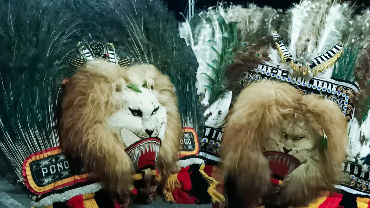 SPEKTAKULER ‼️ ATRAKSI HEBAT PEMBARONG KONDANG REOG PONOROGO TAKLUKKAN BARONGAN REOG TERBESAR
