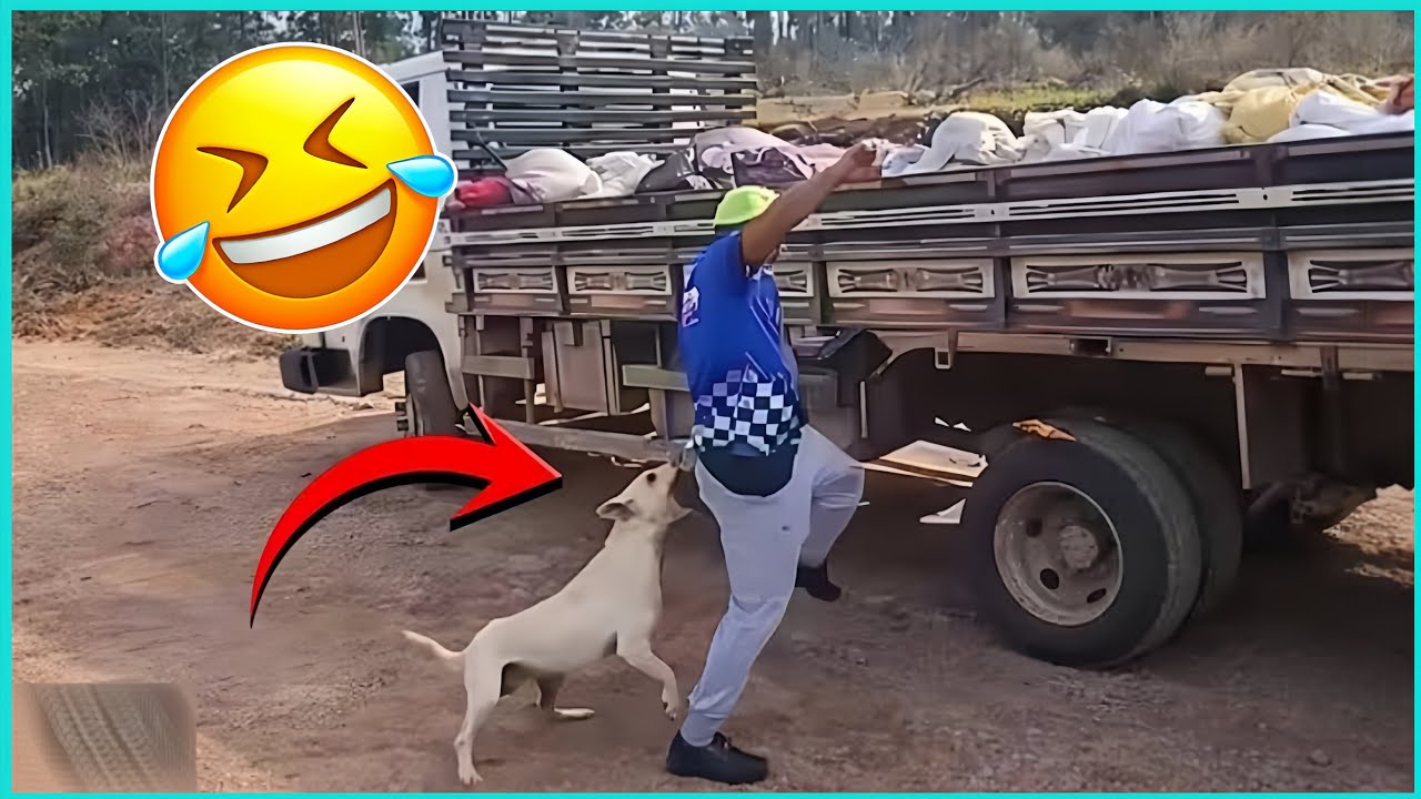 100 FUNNIEST videos of 2026 😂😁#215 - People Being Idiots | 🤣 Try Not to Laugh - By Comedy Craze