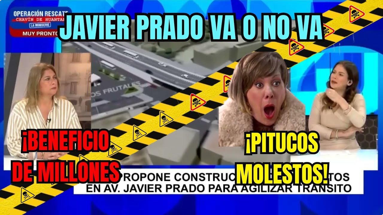 🚨 ¡PITUCOS CON MIEDO! | Regidora de Porky: 