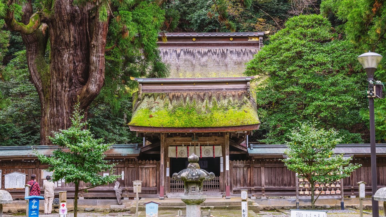 Live JAPAN Countryside Walk - Obama, Fukui - Shrines and Rural Landscapes - 福井県小浜散歩