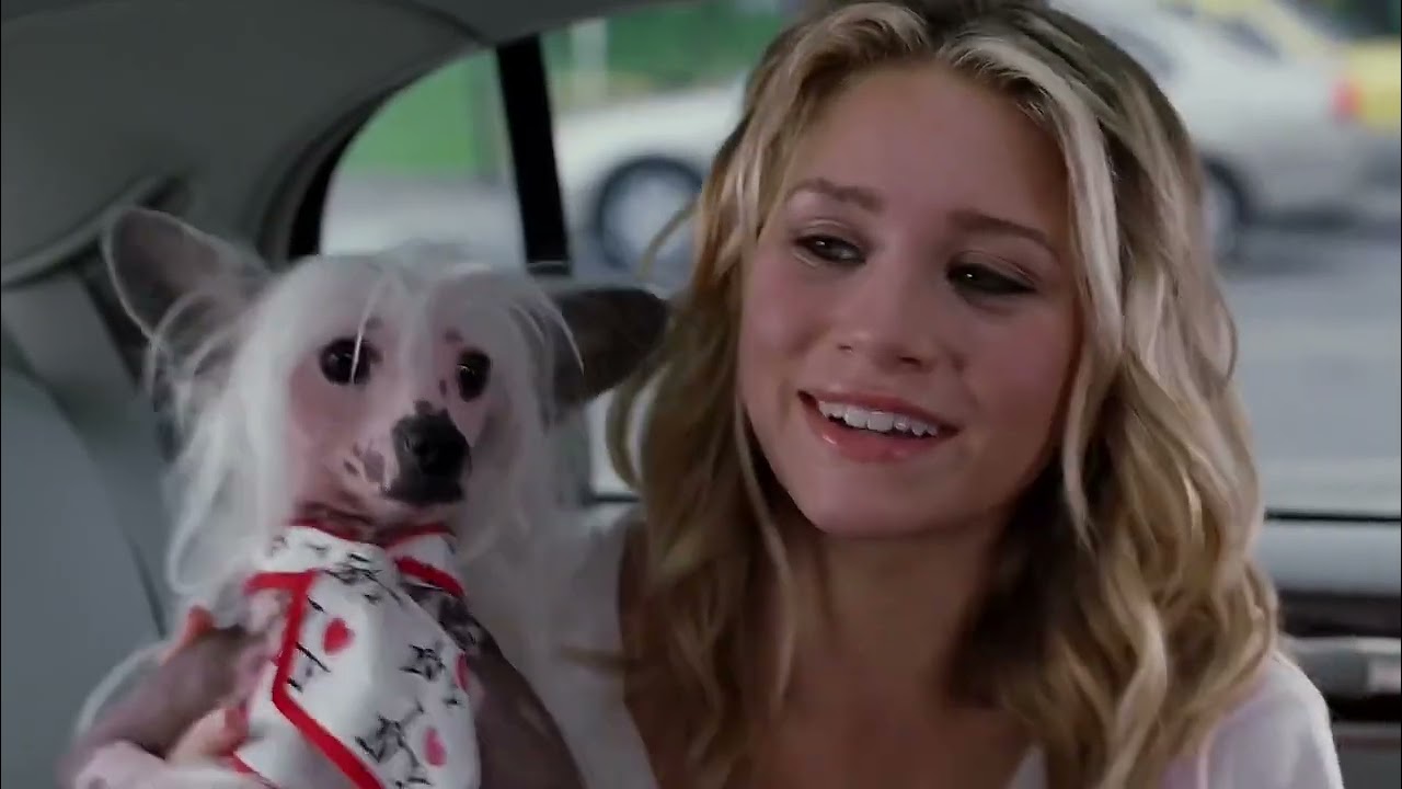 jane ryan “new york minute” scenepack