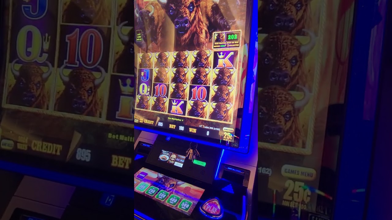Buffalo Link Jackpot Replay #JacksonRancheria #Slots