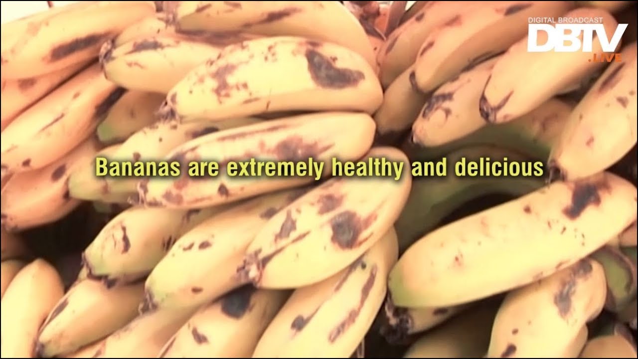 Banana Benefits for Health - DBTV StoryTellers - DBTV