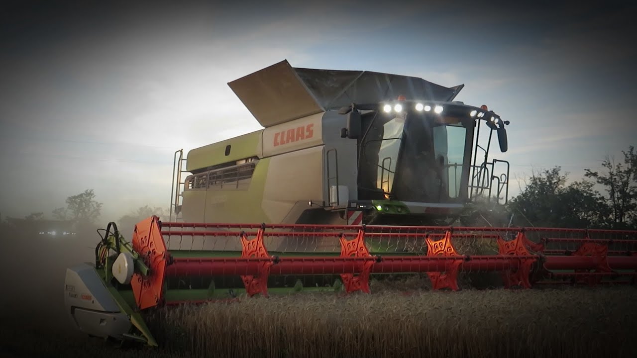 Wheat harvest/Búza aratás 2022🌾🚜 