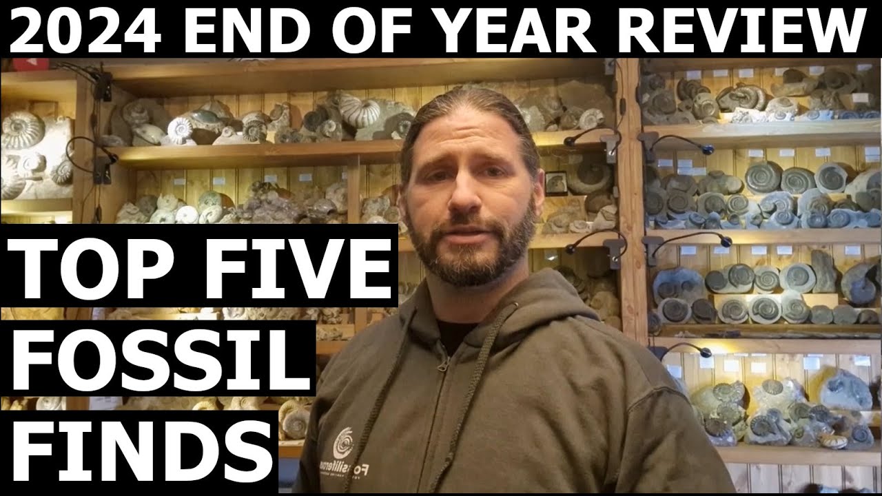 #fossilhunting round up - My top finds of 2024