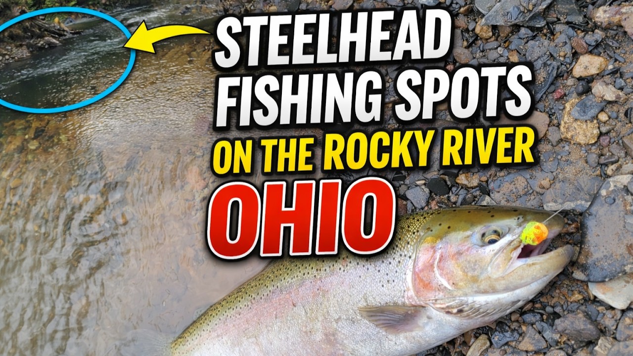 Steelhead Fishing Spots on the Rocky River!