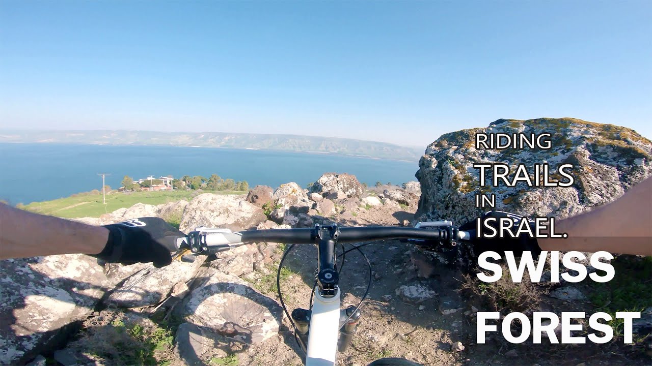 סינגל יער שווייץ