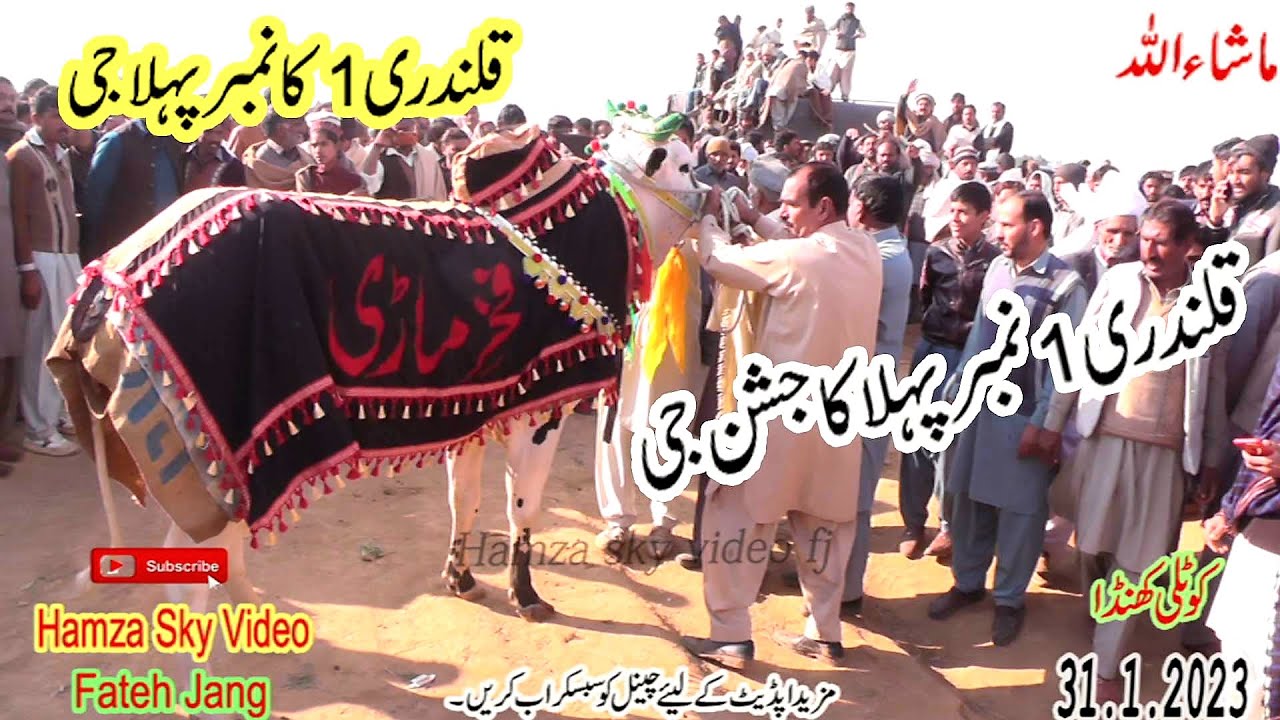 Qalndri 1 Ka Number 1 G  Phala No Ka Jashan