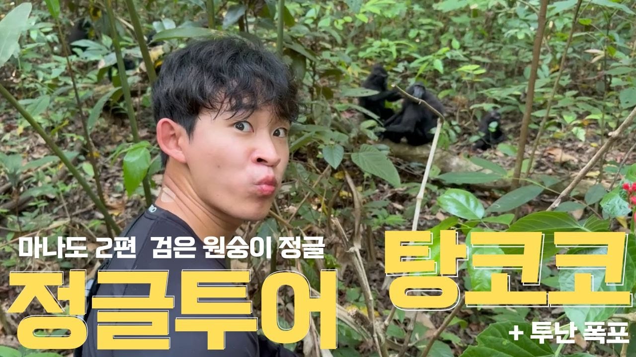마나도 여행 꼭 가야한는 곳 2편 [탕코코, 투난폭포]
