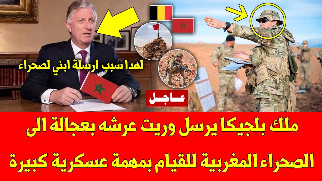 عاجل ملك بلجيكا يرسل وريب عرشه بعجالة الى الصحراء المغربية للقيام بمهمة عسكرية كبيرة - شاهد التفاصيل