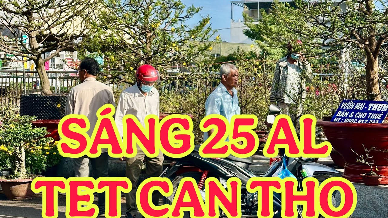 SÁNG 25 tết, CHỢ TẾT CẦU VÁN đường TRẦN QUANG DIỆU ngày 12/2/2026
