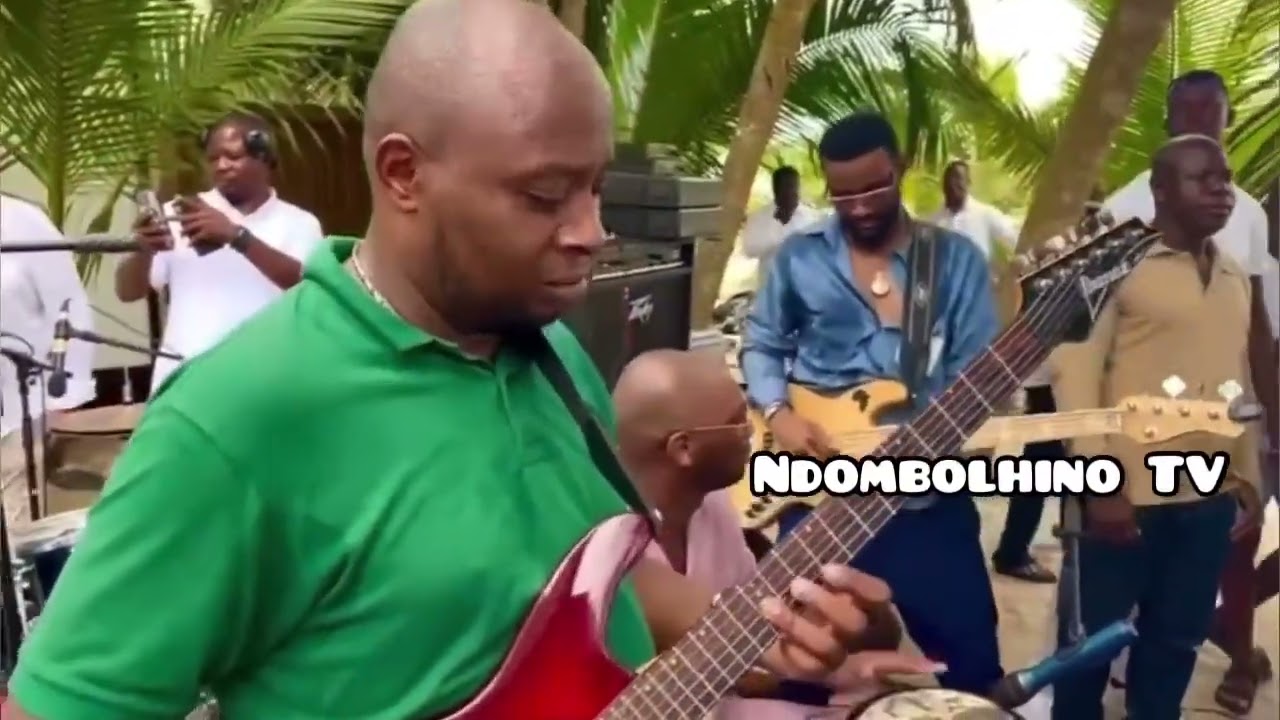 AFRICA MUSICA / Rogaroga : soliste Fally Ipupa  : bassiste Singuila : percussion Toofan : animation