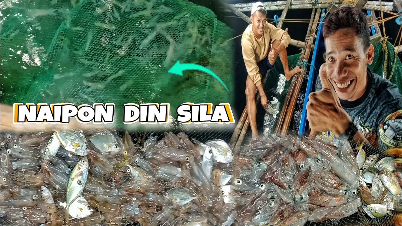 Bumungad ang maraming pusit sa pag gising na Arya | masbate