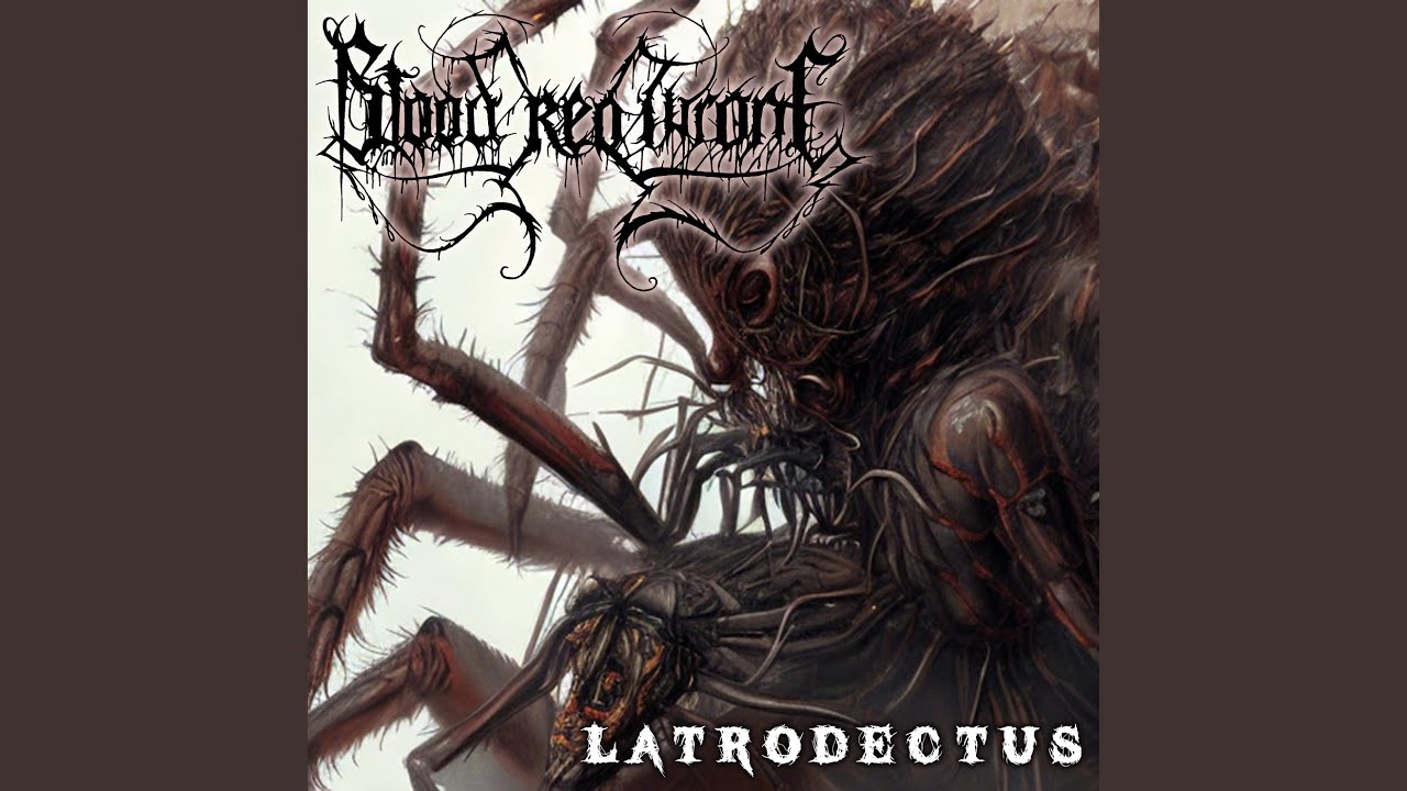 Latrodectus