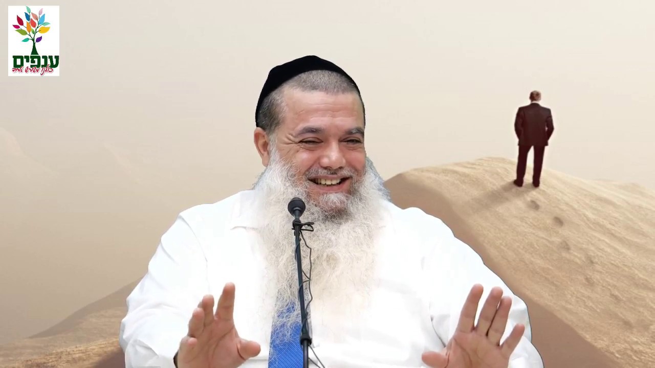 סלב🤩 או דוס🤠: מי נהנה יותר? - הרב יגאל כהן - שידור חי HD