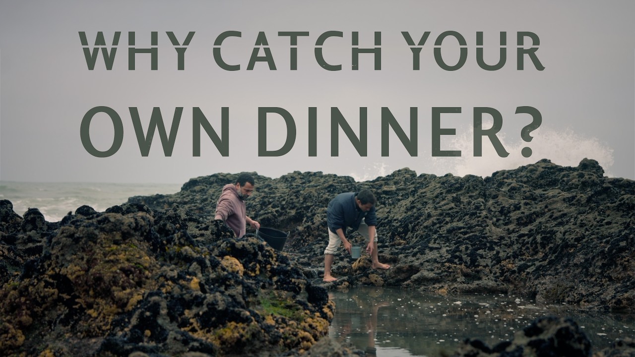 From Ocean to Plate in Portugal