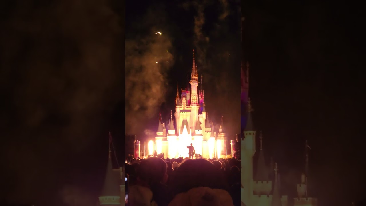Tokyo Disneyland Reach for the Stars Fireworks Show December 2024