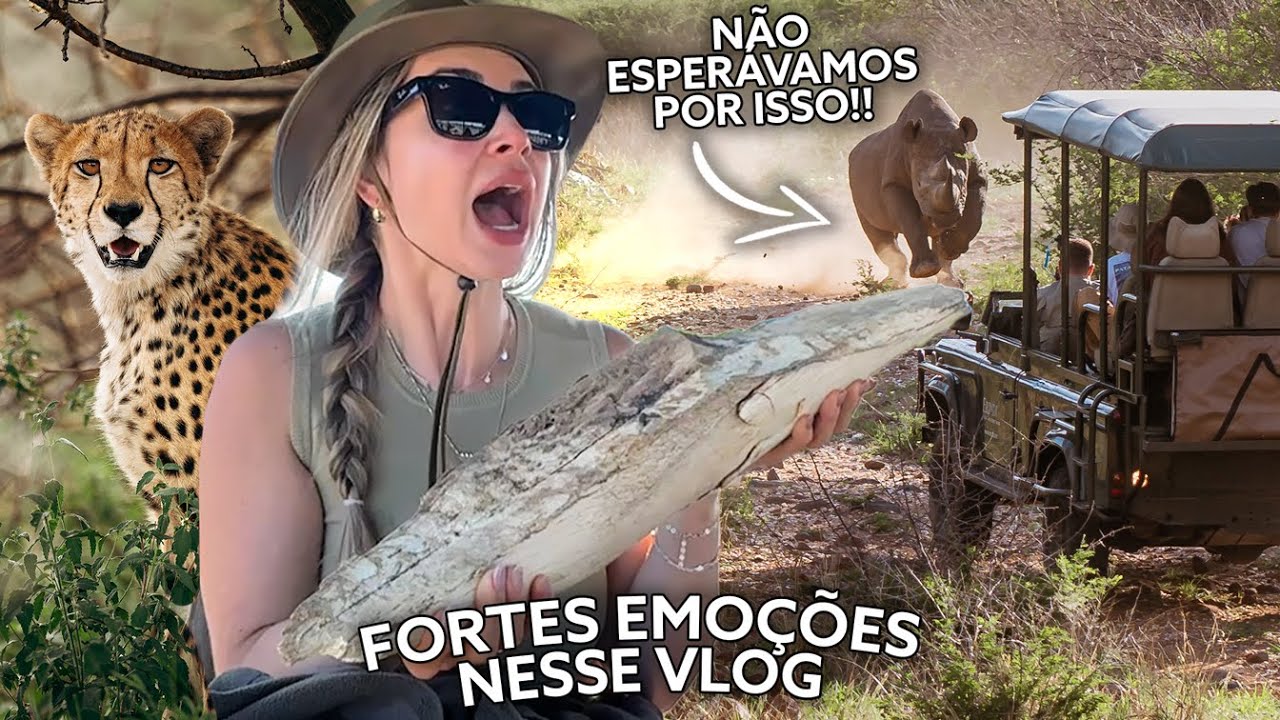 SAFARI NA ÁFRICA: VLOGÃO NAMÍBIA PARTE 2