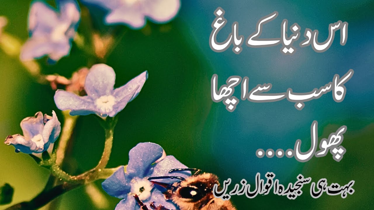 Best Motivational Words | Maa Baap | #motivational urdu aqwaal
