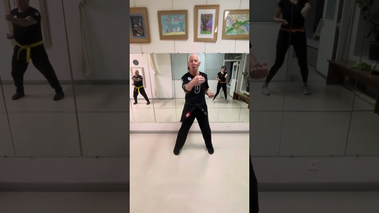 Chil Lim Tao (Wing Chun) Premier Tao (La Petite Idée)