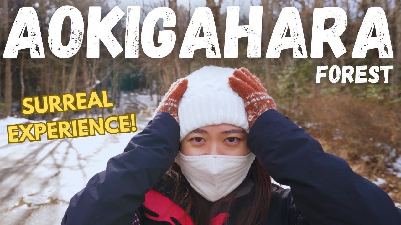 We Walked Inside JAPAN’S “SUICIDE” FOREST | Aokigahara Forest