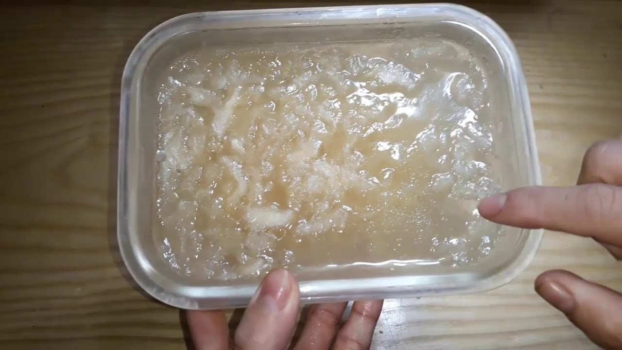 Cách nấu RAU CÂU CHÂN VỊT rau câu Lý Sơn  ngọt thanh giòn sừng sựt