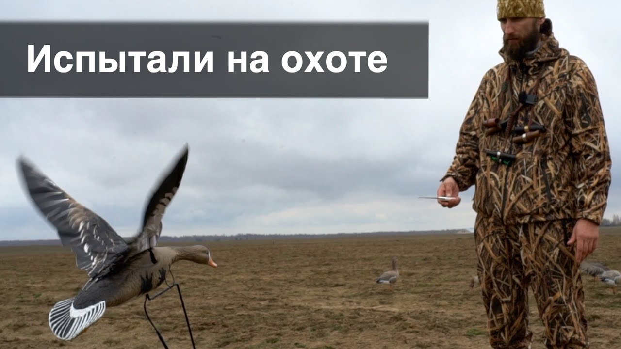 Охота на гуся / Испытание Гусиного Махокрыла - реакция гусей
