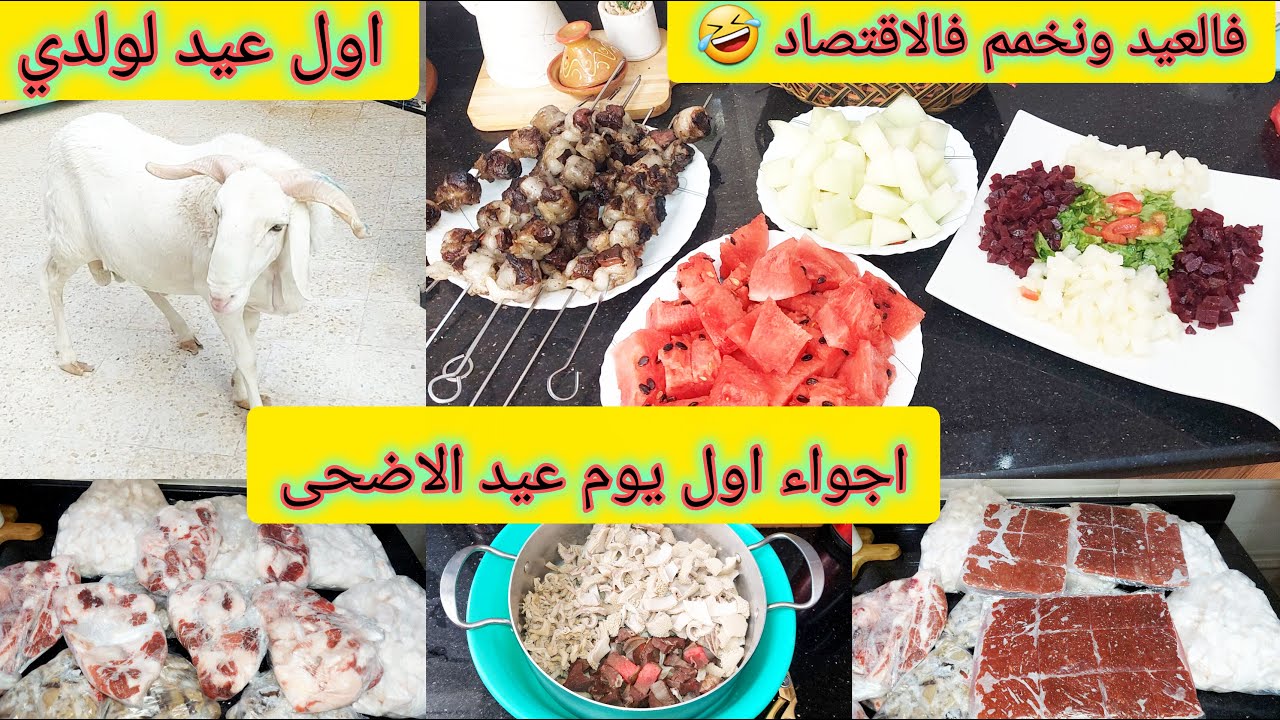 @afkar_dz  اجواء اول يوم عيد الاضحى 🐏 اول عيد لابني خدمت كلش بالجري 👶 كيفاش نخبي الاضحية 👍