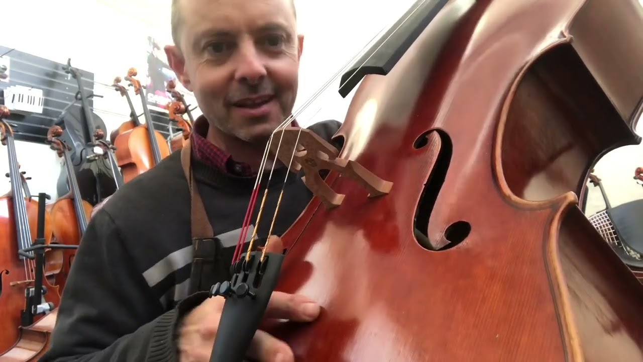 Cello comparison for Bronwyn.  $10,000 price range