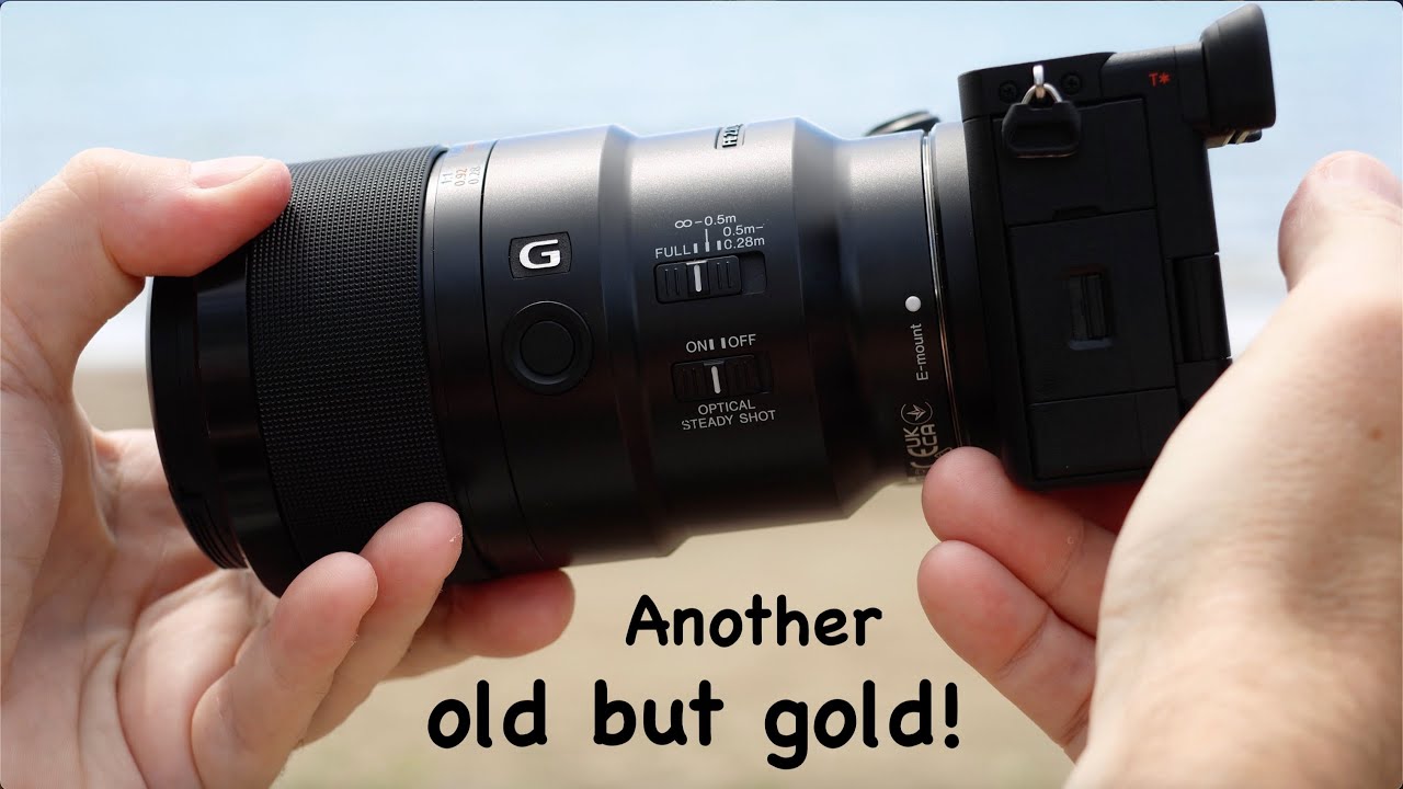 Sony FE 90mm F2.8 G OSS macro, review with photos (macro, close up, pets, landscape, portrait).