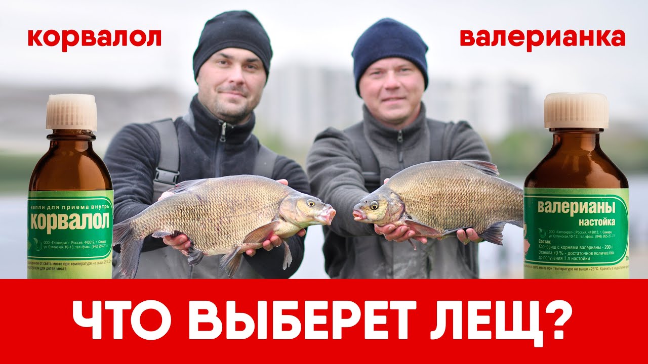 ВАЛЕРЬЯНКА ПРОТИВ КОРВАЛОЛА! Что выберут лещи? ФИДЕРНЫЙ БАТЛ №4, Сезон 2021-22