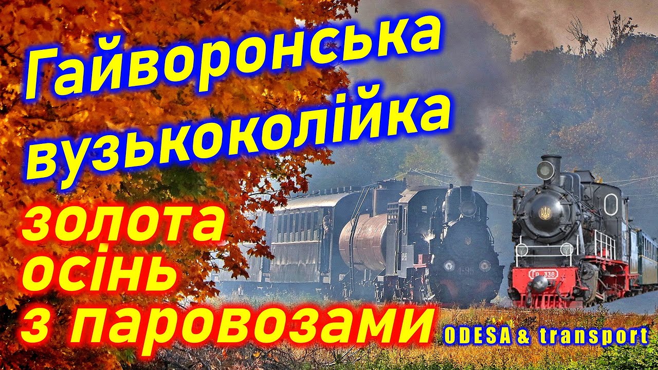Гайворонська вузькоколійка: ПАРОВОЗИ і золота осінь
