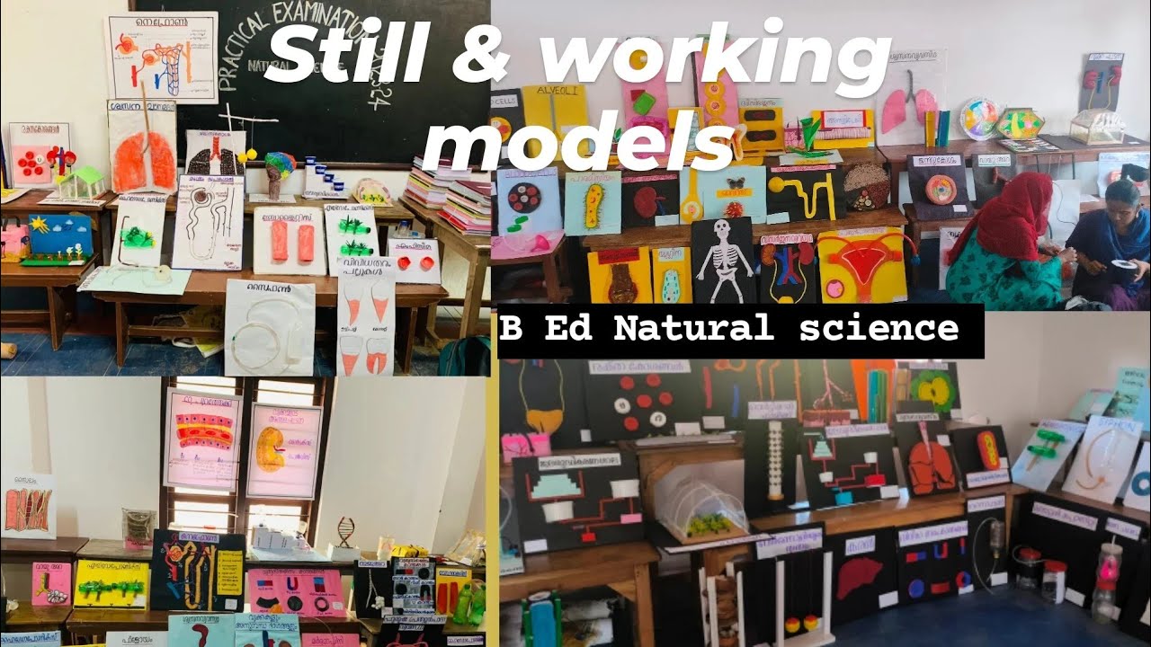 B Ed Natural science Still& working models#models#Bed#stillmodel #workingmodels