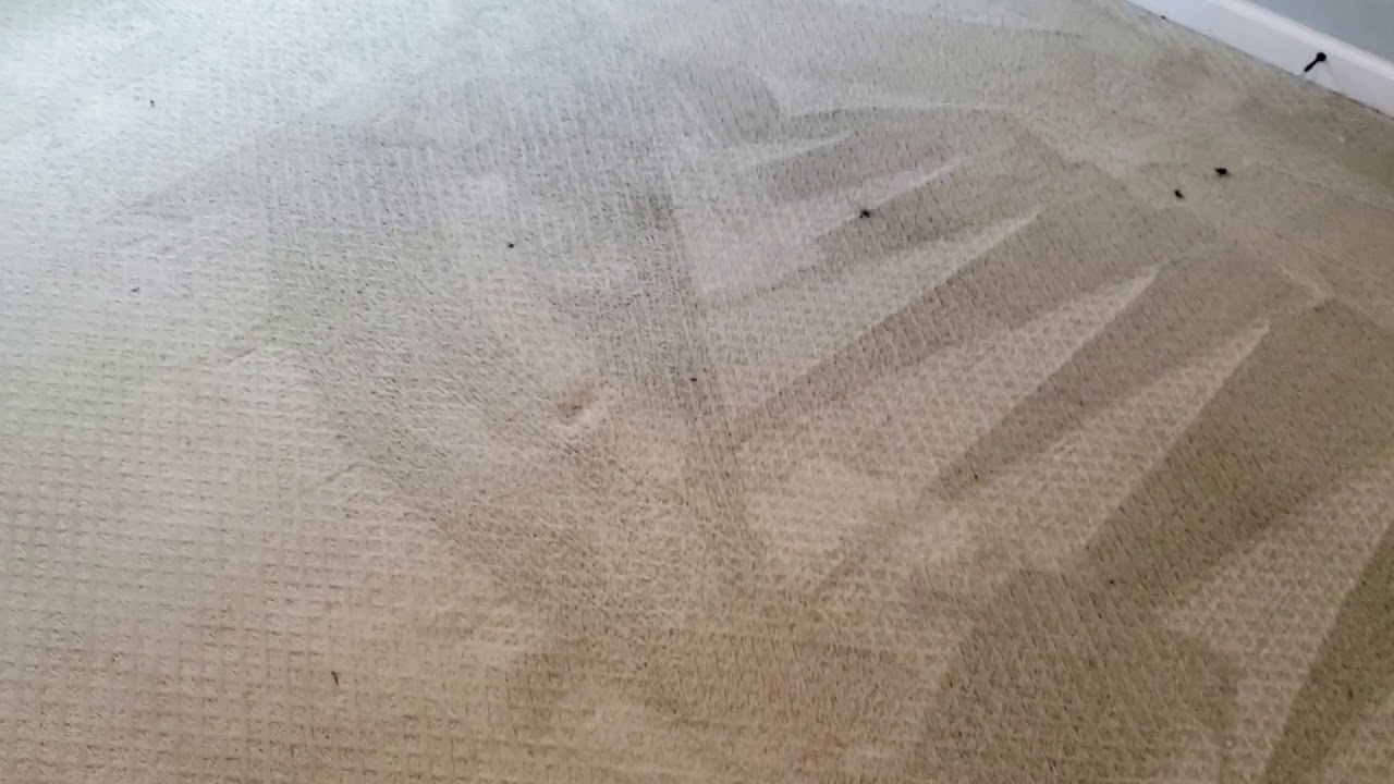 Brought back to life carpet cleaning.