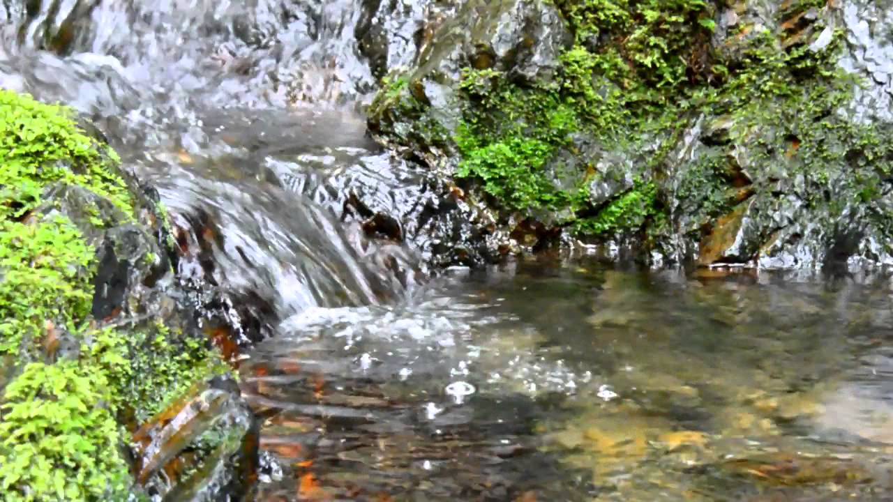 【自然音】せせらぎ(中) / 1 Hour Nature Sounds - Babbling Brook Sounds