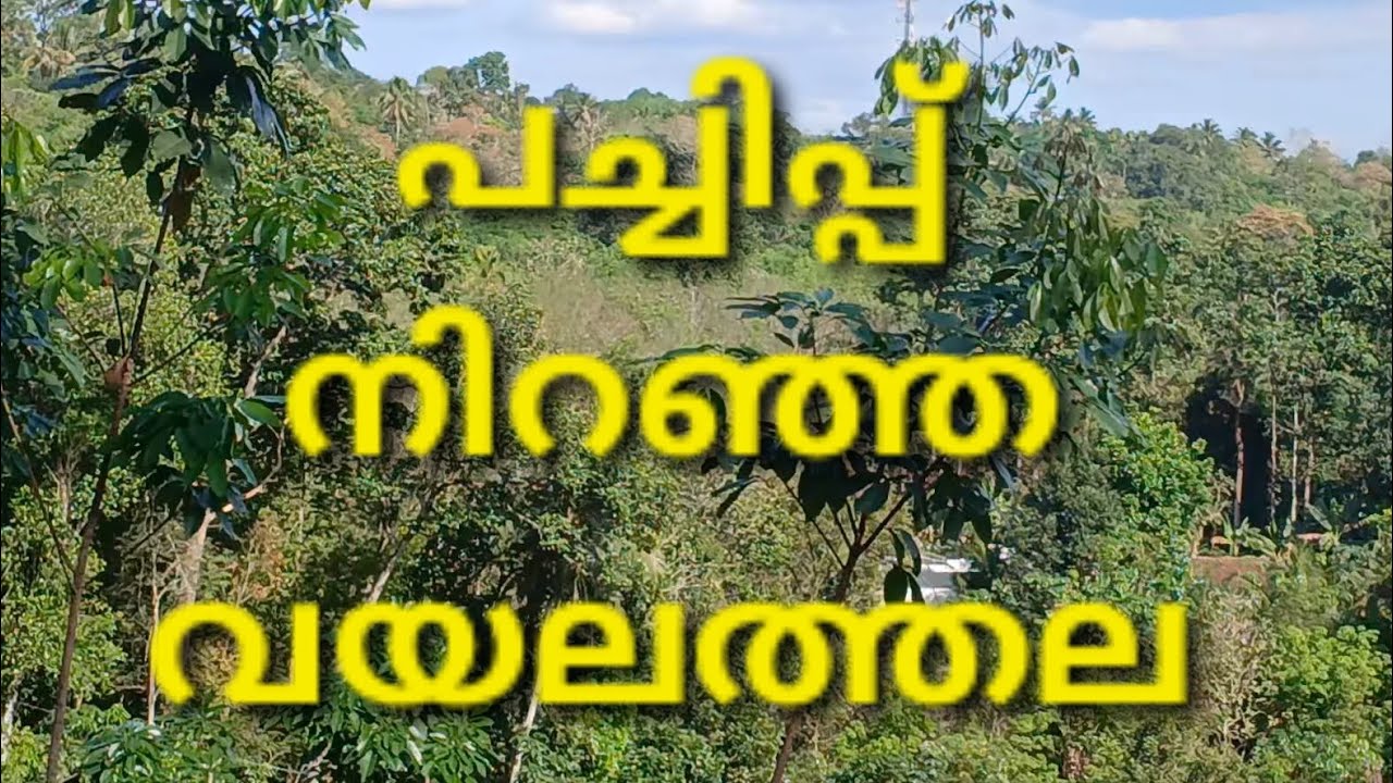 വയലത്തല #travel #nature 