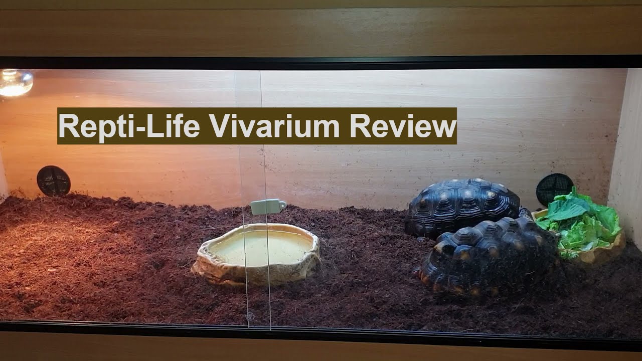 Repti-Life Vivarium Review (5ft & 4ft)
