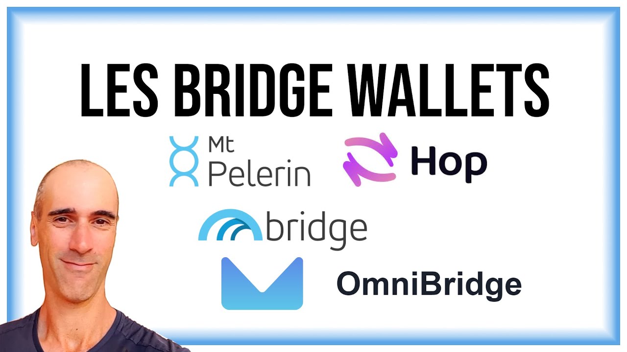 Comment utiliser un bridge wallet: Mt Pelerin, Bridge Wallet, OmniBridge, Hop