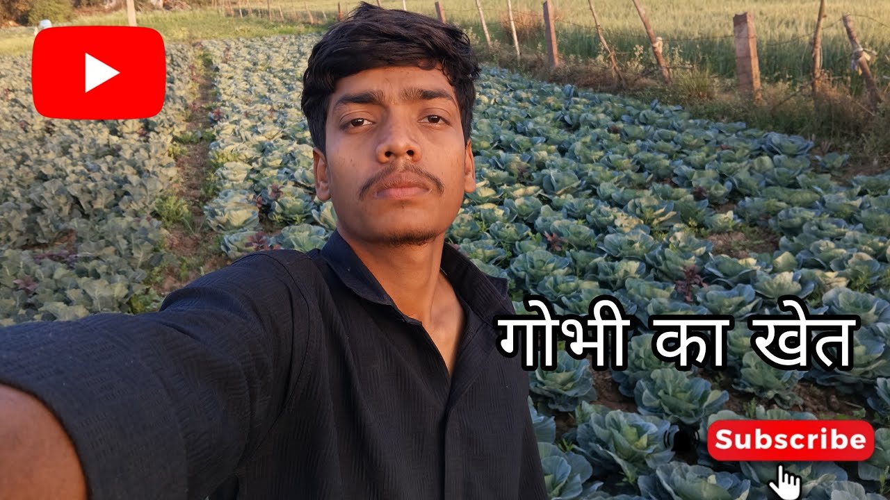 गोभी का खेत ||  #vlog #frming 
