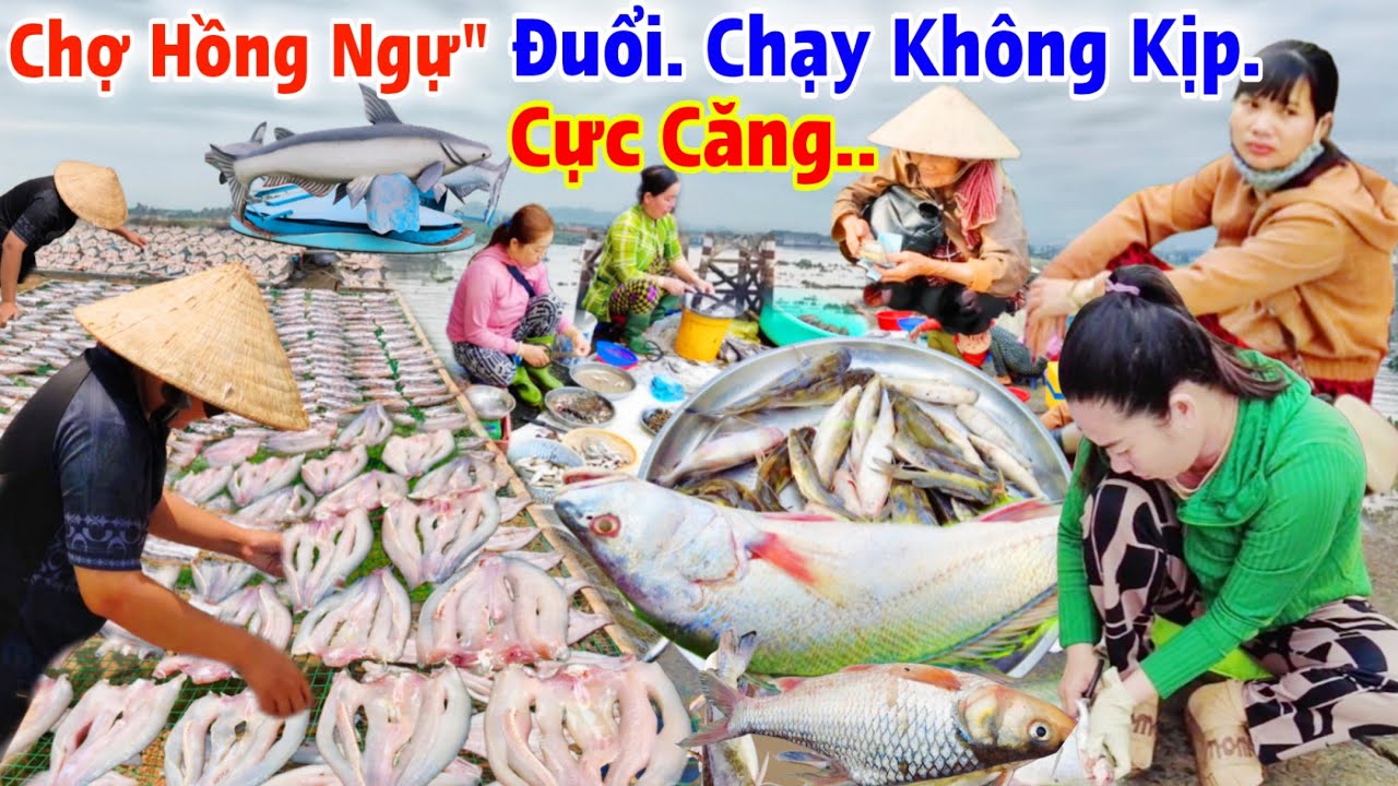 Khủng hoảng Ế thê thảm Chợ miền Tây
