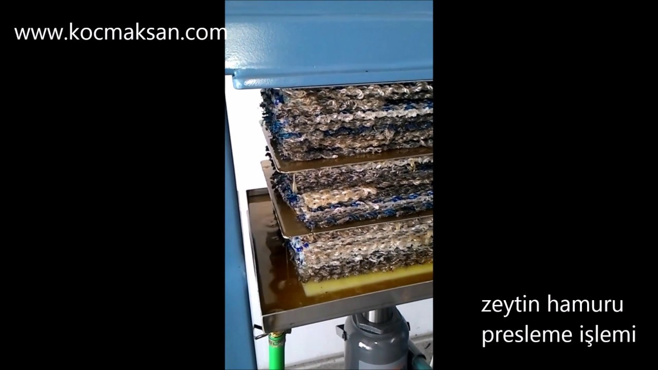 ev tipi zeytinyağı sıkma makinası