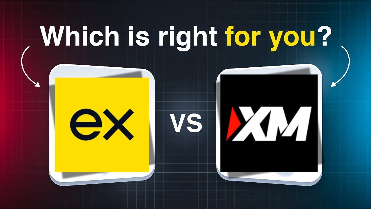 Exness vs XM &ndash; Which Forex Broker Is Better in 2025!